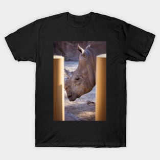 Rhinoceros 1 T-Shirt